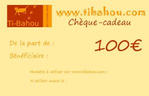 Chèque-cadeau de 100€