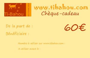 Chèque-cadeau de 60€